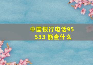 中国银行电话95533 能查什么